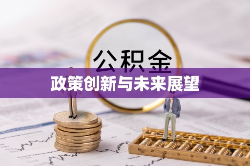 桦南政策创新与未来展望